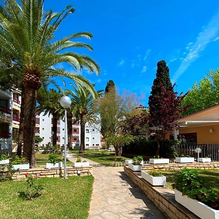 Apartamentos Corcega Palmyra Салоу Екстериор снимка